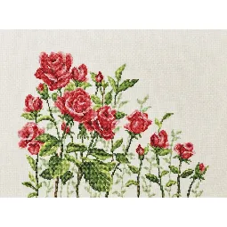 Roses on Aida