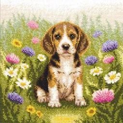 Meadow Pup