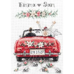 Aine Just Married Wedding Sampler Cross Stitch Kit