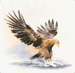 Heritage Eagle in Flight - Evenweave Cross Stitch Kit