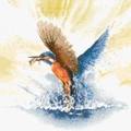 Image of Heritage Kingfisher in Flight - Evenweave Cross Stitch Kit