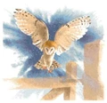 Image of Heritage Owl in Flight - Evenweave Cross Stitch Kit