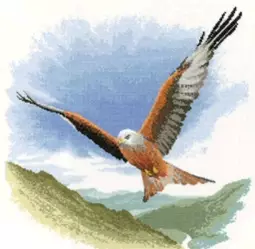 Heritage Red Kite in Flight - Evenweave Cross Stitch