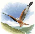 Image of Heritage Red Kite in Flight - Evenweave Cross Stitch