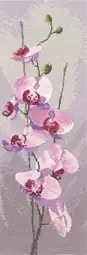 Orchid Panel - Aida